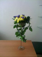 /album/kompozitsii-1/getimage-32-jpg3/